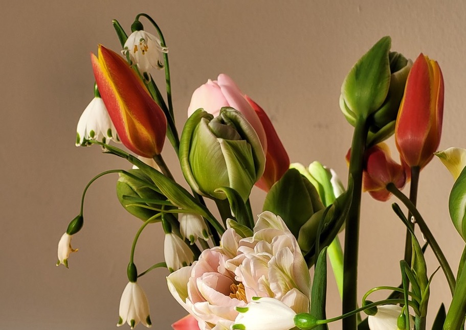 Blumen